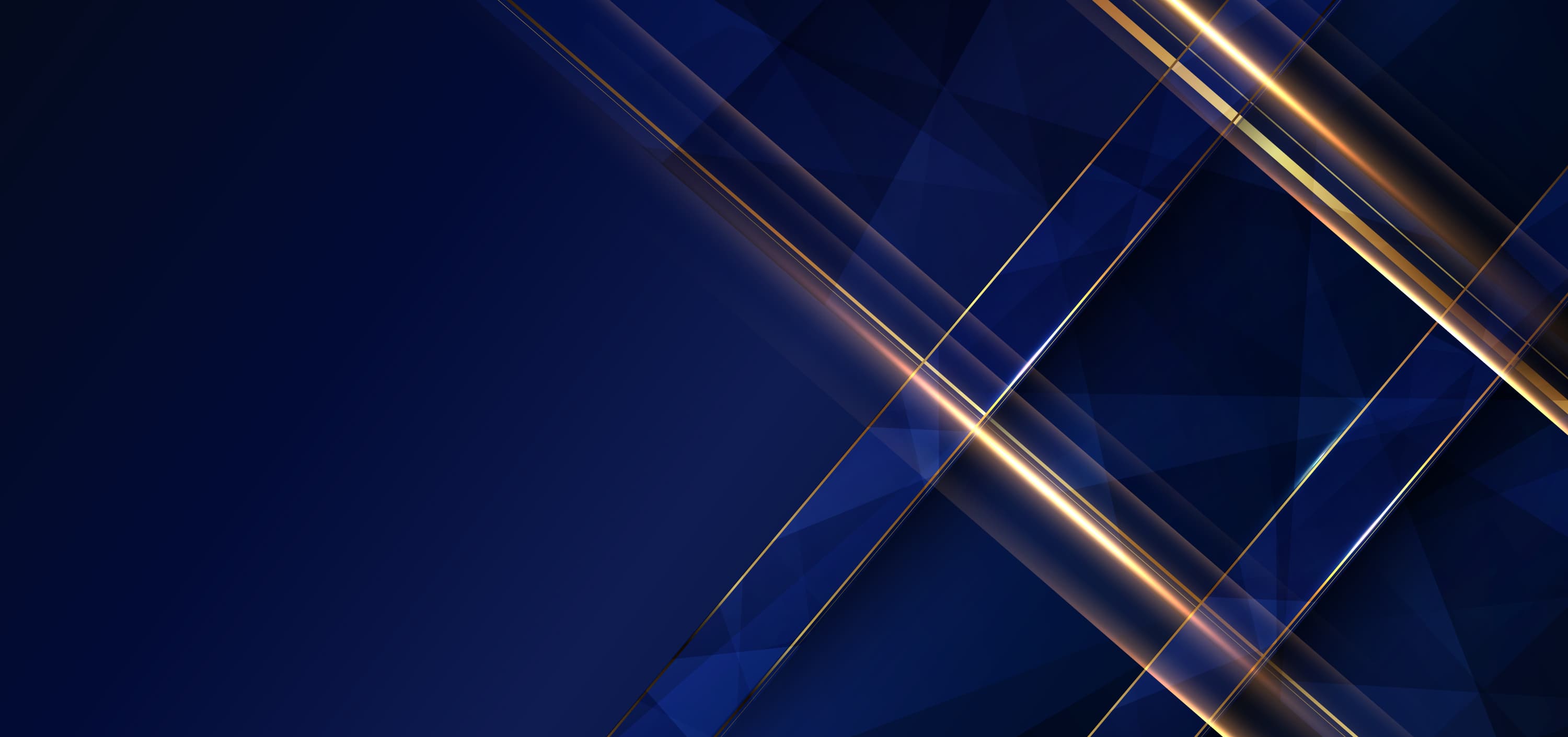 Premium Limousine Service